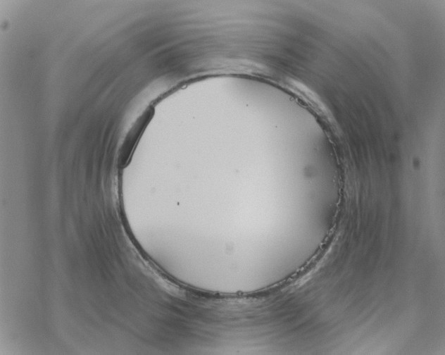 X0000068731188200605262018