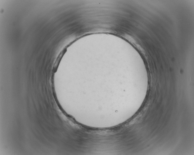 X0000068731189200605262018