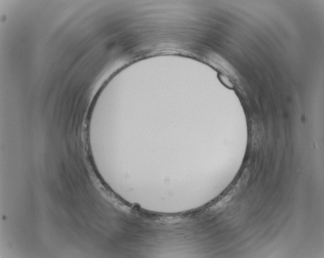 X0000068731190200605262018