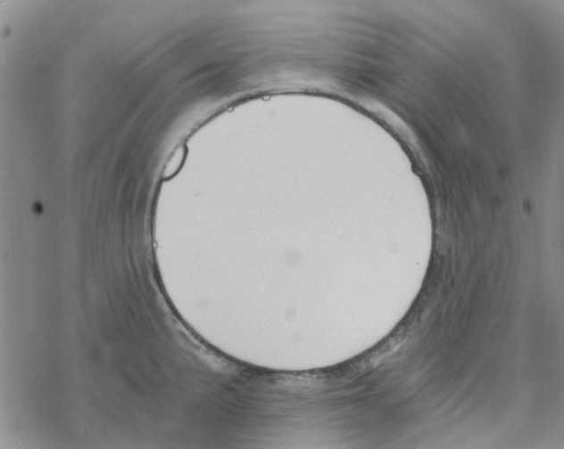 X0000068731191200605262018