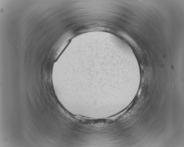 X0000068731193200605262018