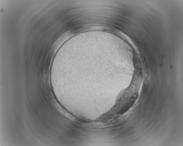 X0000068731194200605262018