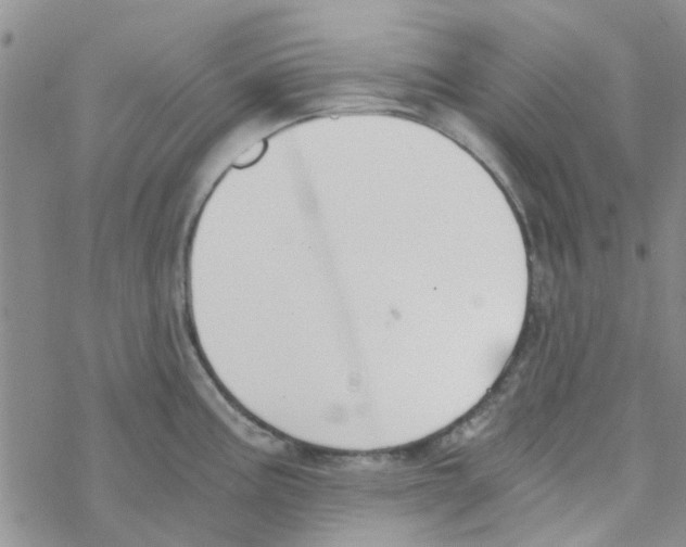 X0000068731195200605262018