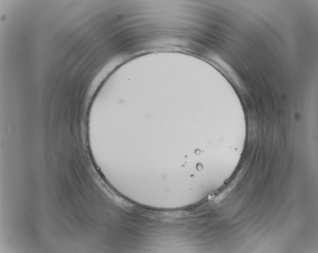 X0000068731196200605262018