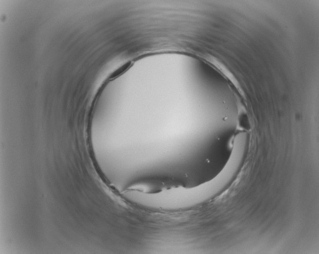 X0000068731197200605262018