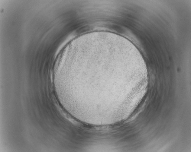 X0000068731198200605262018