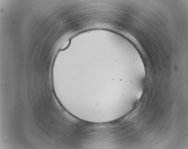 X0000068731199200605262018