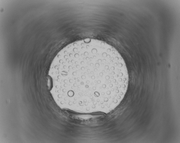 X0000068731201200605262017