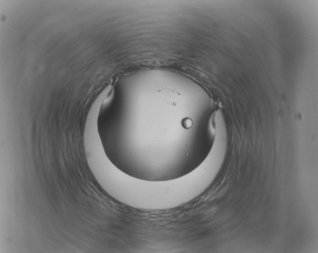 X0000068731202200605262017