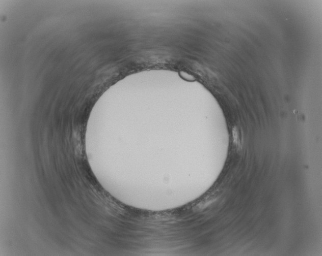 X0000068731203200605262017