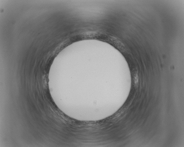 X0000068731204200605262017