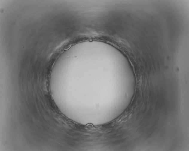 X0000068731205200605262017