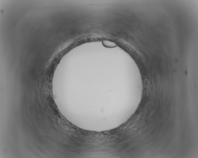 X0000068731207200605262017