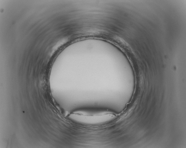 X0000068731210200605262017