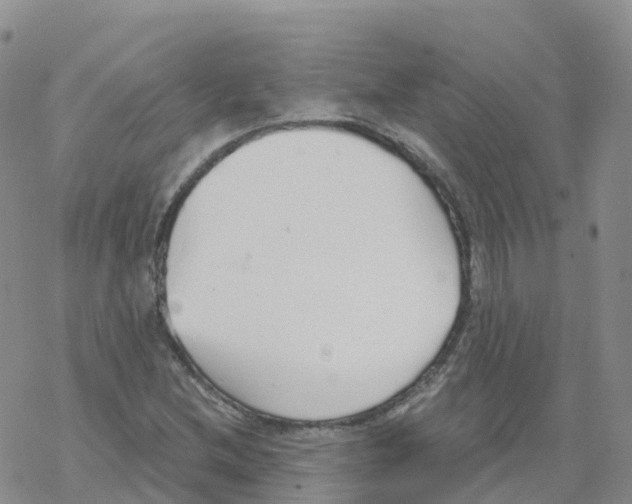 X0000068731212200605262017