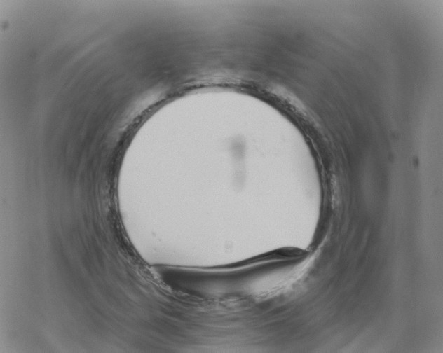 X0000068731213200605262017