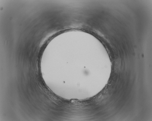 X0000068731214200605262017