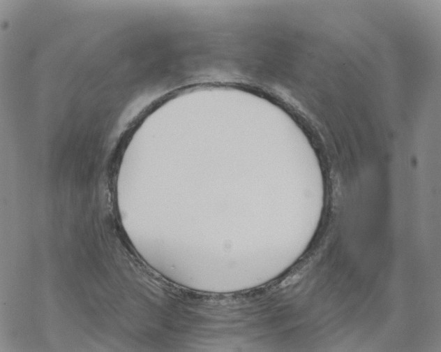 X0000068731215200605262017