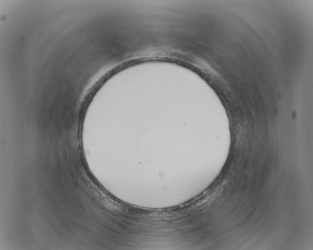 X0000068731216200605262017