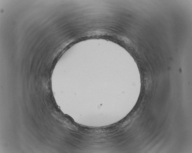 X0000068731217200605262017