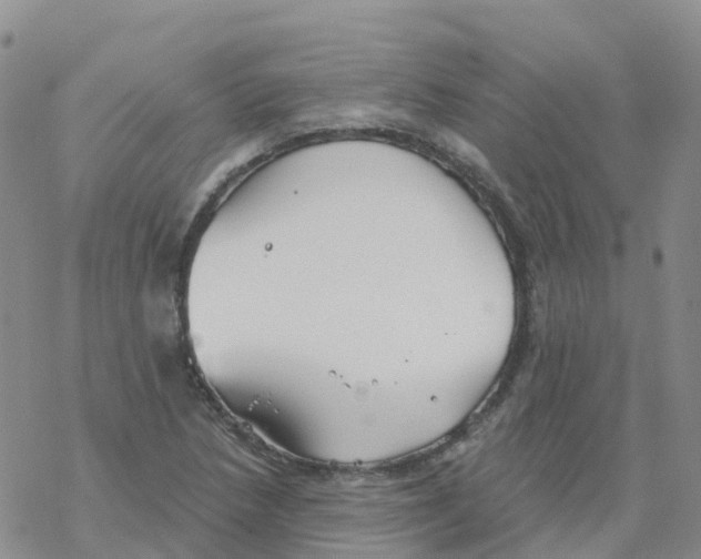 X0000068731218200605262017