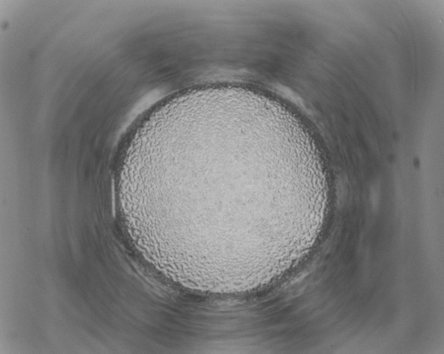 X0000068731219200605262017