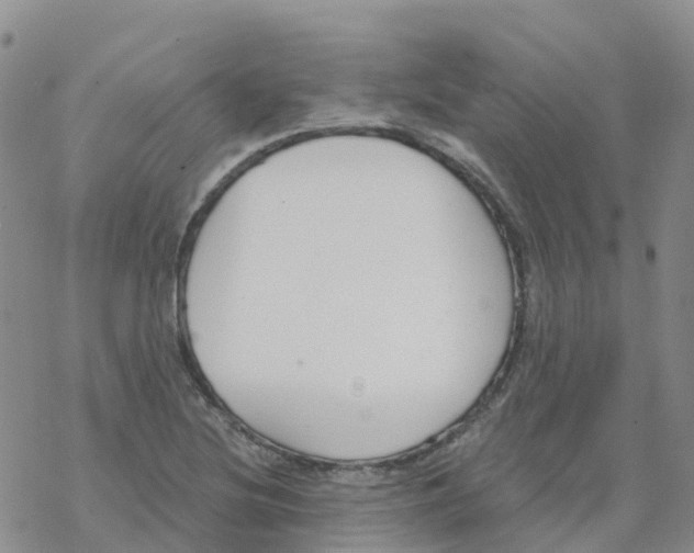 X0000068731220200605262017