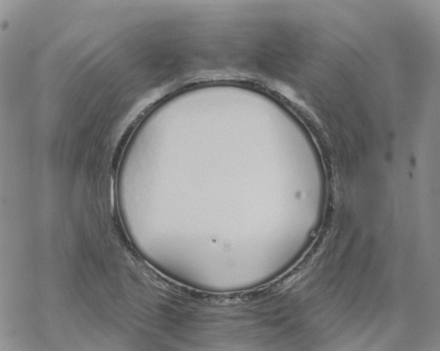 X0000068731221200605262017