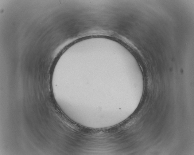 X0000068731222200605262017