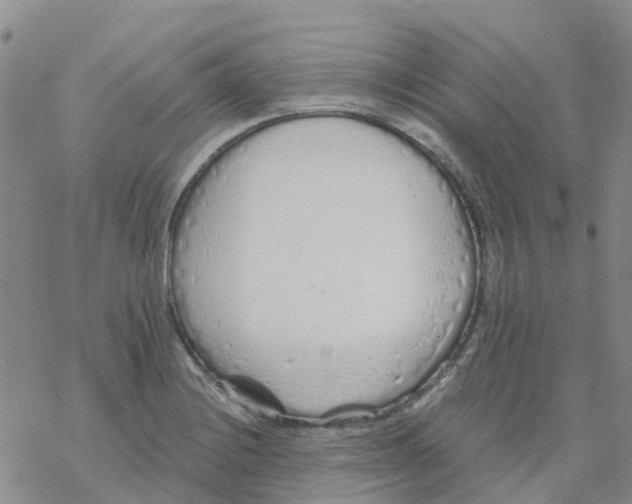 X0000068731228200605262017