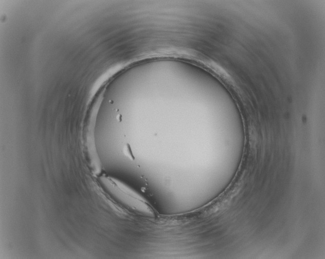 X0000068731230200605262017