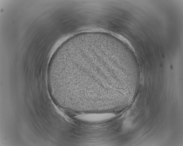 X0000068731231200605262017