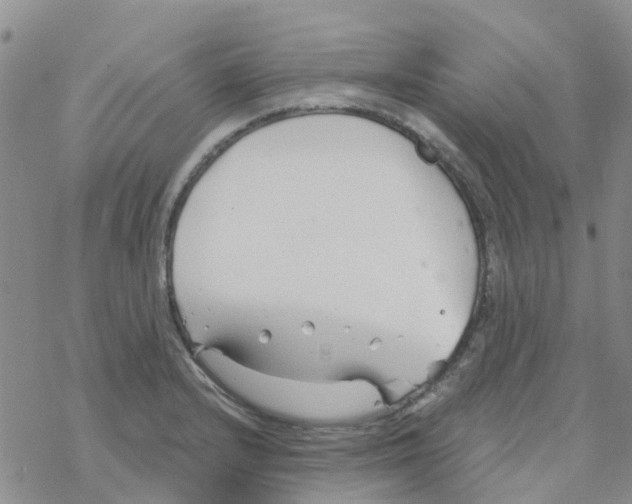 X0000068731232200605262017