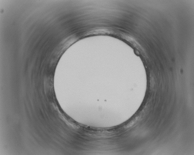 X0000068731233200605262017