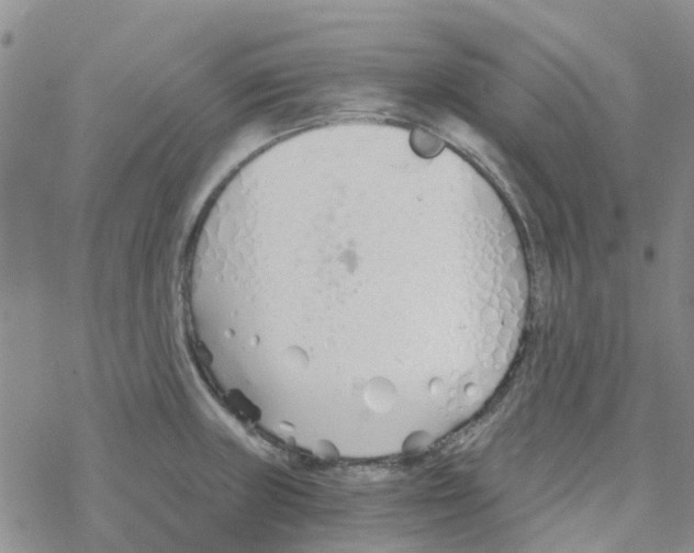 X0000068731235200605262017