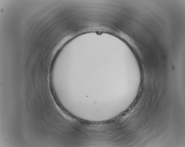 X0000068731237200605262017