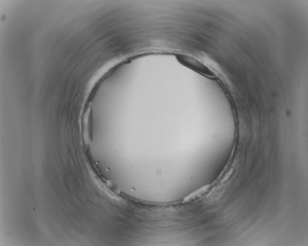 X0000068731238200605262017