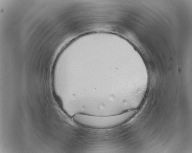 X0000068731240200605262018