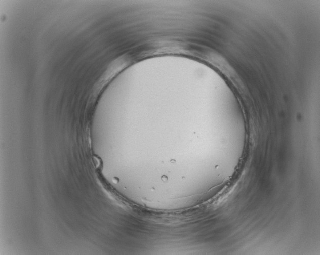 X0000068731241200605262018