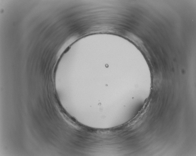 X0000068731242200605262018