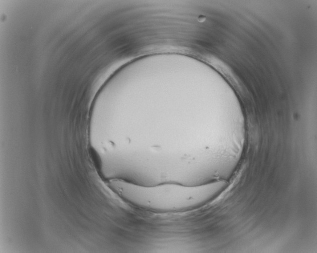 X0000068731244200605262018