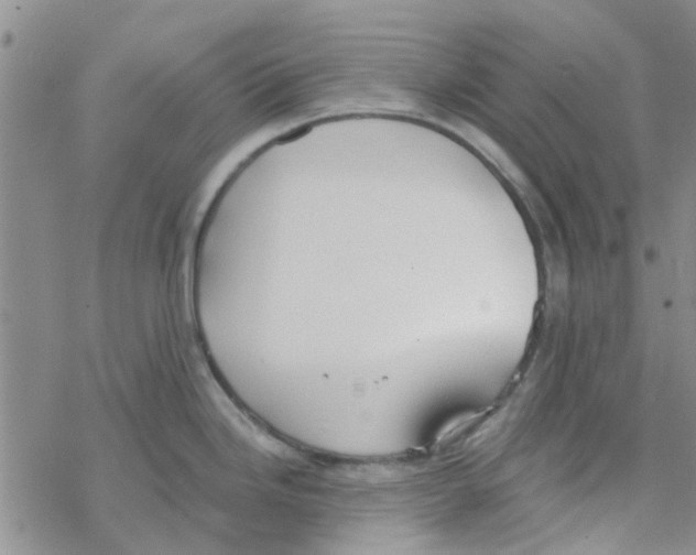 X0000068731246200605262018