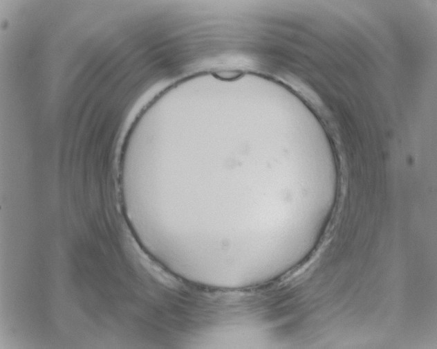 X0000068731248200605262018