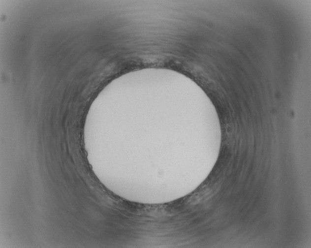 X0000068731249200605262017