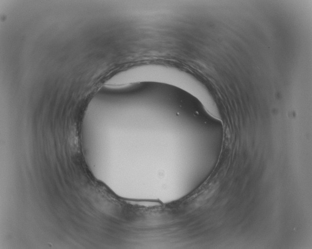 X0000068731252200605262017