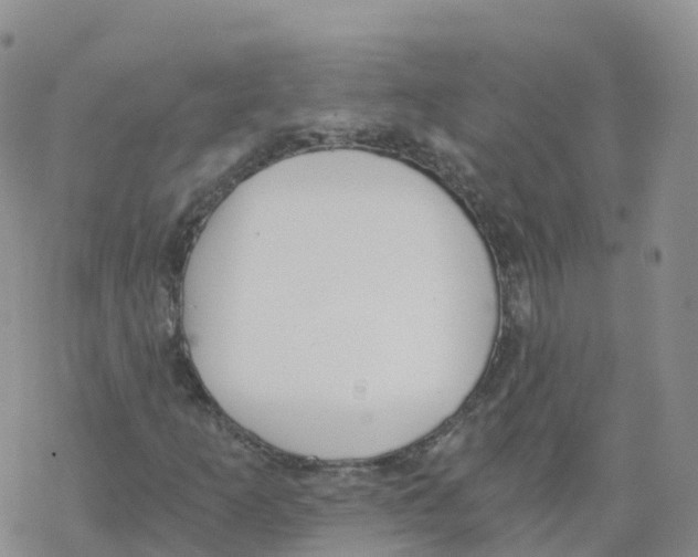 X0000068731253200605262017