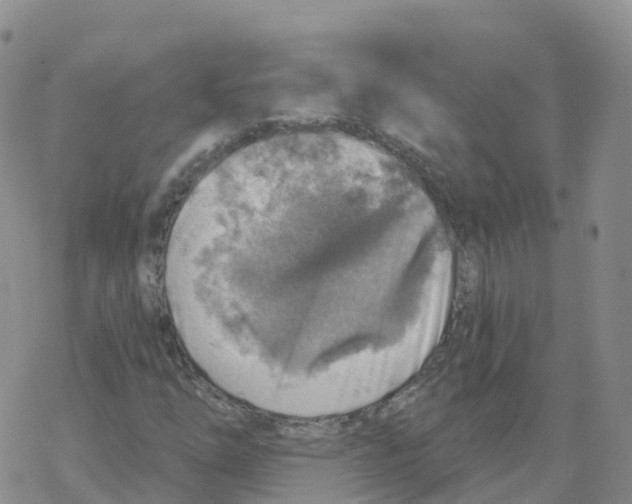 X0000068731254200605262017