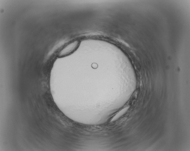 X0000068731255200605262017