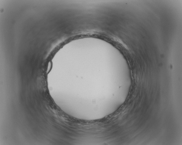 X0000068731256200605262017