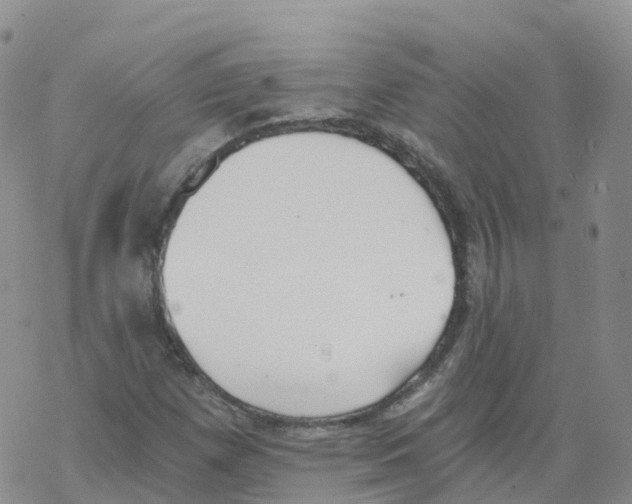 X0000068731257200605262017